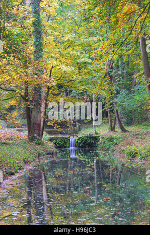 Shipton unter Wychwood wilden Garten und Wald im Herbst, Oxfordshire, England Stockfoto