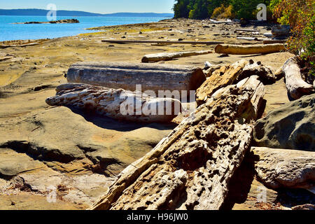 Treibholz entlang einer felsigen Küstenlinie an der Küste von Vancouver Island in British Columbia Kanada Stockfoto