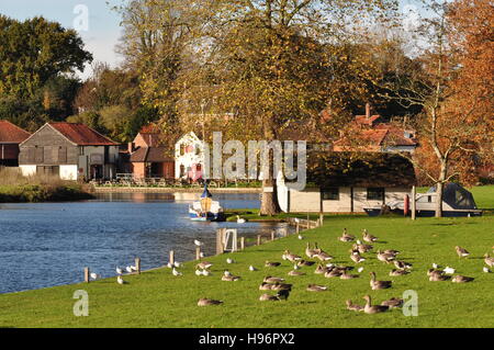 Fluß Bure bei Coltishall Norfolk England UK Stockfoto