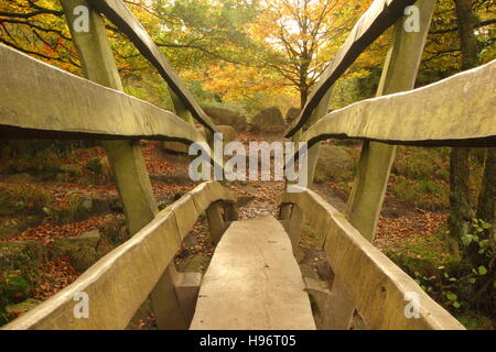 Herbstlaub in einem alten englischen Waldgebiet gesehen von einer Holzbrücke überspannt einen Bach in Derbyshire, England UK Stockfoto