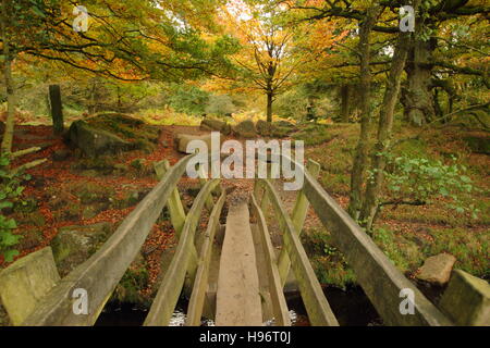 Herbstlaub im englischen Wald gesehen von einer Holzbrücke überspannt Biurbage Bach im Peak District, Derbyshire, England UK Stockfoto