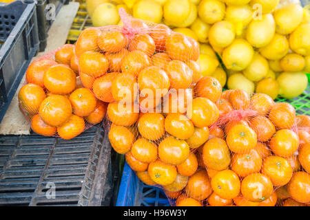 Orangen und Zitronen in Markt in Chile Stockfoto