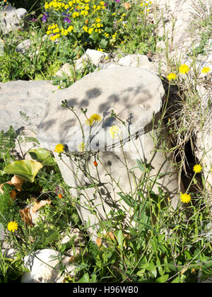 Spalte in der antiken Stadt Volubilis im Bereich Zerhoun-Massivs von Marokko gefallen Stockfoto