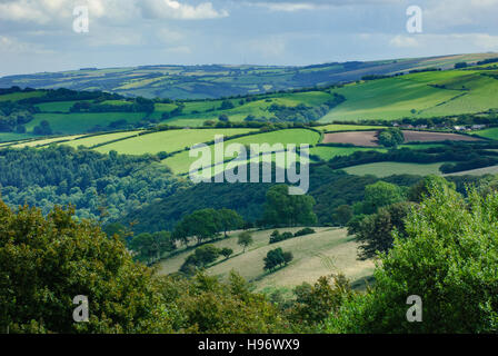 Englische Landschaft mit Hecken und Feldern im Exmoor National Park, Devon Stockfoto