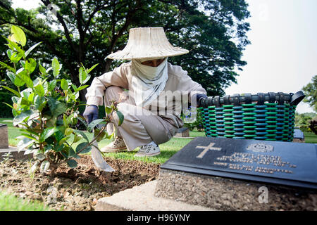 Alliierten Soldatenfriedhof Kanchanaburi Thailand Stockfoto