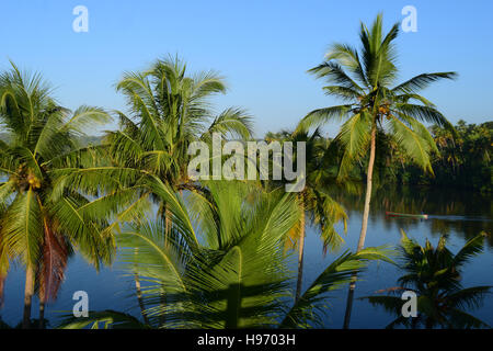 Kokos Bäume Landschaft zwischen den malerischen Backwaters von Kerala Indien Stockfoto