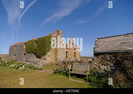 Ruinen von einem alten historischen Bauernhof in der Mitte des Skomer Island, Wales Stockfoto