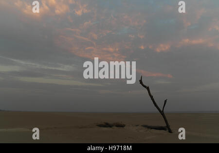 Abenddämmerung sehen rot-rosa graue Wolken trocken Sandstrand mit hohen schrägen Niederlassung Baumstamm in Richtung Lytham, Fairhaven, UK Stockfoto