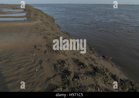 Blauer Himmelsblick, flussaufwärts, Training Nordwand, Miesmuschelbänke durch Niedrigwasser Kanal Fluss Ribble, Fairhaven, Lytham Stockfoto