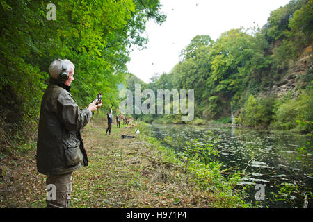 Angetrieben von Fasan schießen in Devon, Großbritannien Stockfoto