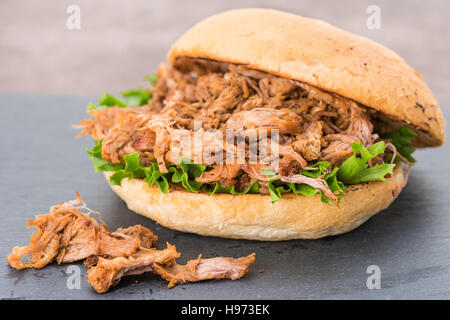 Ein Barbecue Schweinefleisch Sandwich in einem Brot Brötchen gezogen Stockfoto