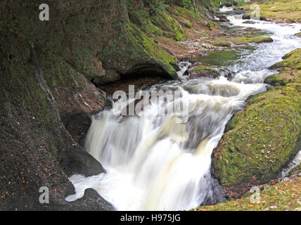 Ein kleiner Wasserfall auf der River North Esk oberhalb der Felsen der Einsamkeit in der Nähe von Edzell, Angus, Schottland, Vereinigtes Königreich. Stockfoto