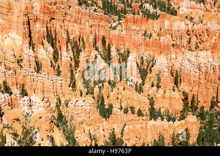 Bryce Canyon Nationalpark in Utah, USA Stockfoto