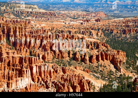Bryce Canyon Nationalpark in Utah, USA Stockfoto