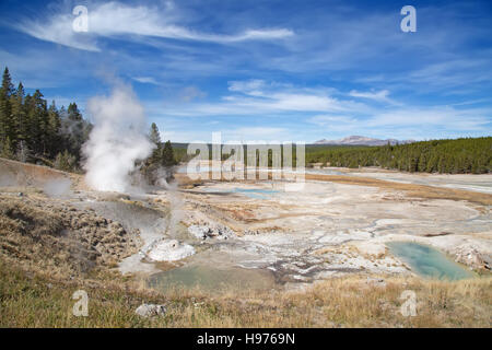 Norris-Geysir-Becken im Yellowstone National Park, USA Stockfoto