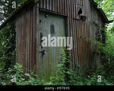 Alte Schuppen im Wald Stockfoto