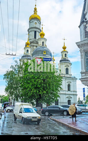 Die goldenen Kuppeln der Dormition Cathedral, versteckt hinter dem Baum, Charkiw, Ukraine Stockfoto