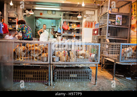 Lebende Hühner zum Verkauf in Hong Kong nass Markt / Kowloon, Mong Kok Stockfoto