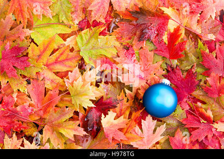High Angle Full-Frame Still Life View of satiniert blauen Ball Weihnachtsdekoration auf Bett von gefallenen bunten Herbst Blätter von Laubbäumen Stockfoto