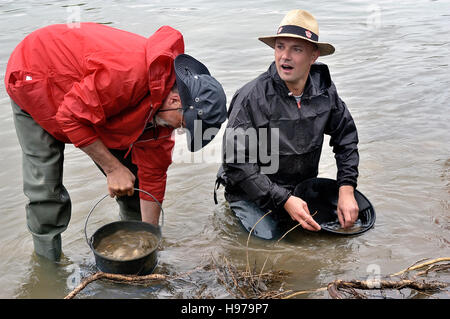 Französisch Gold Forscher an das Goldwaschen Europapokal der Landesmeister im Fluss Gardon im Departement Gard Stockfoto