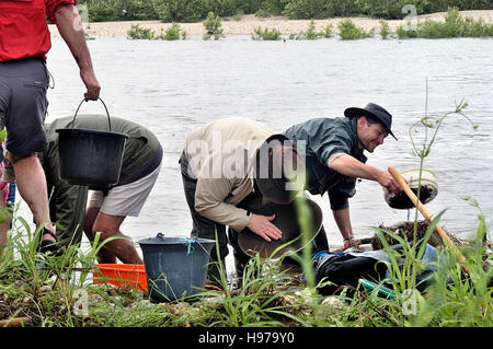 Französisch Gold Forscher an das Goldwaschen Europapokal der Landesmeister im Fluss Gardon im Departement Gard Stockfoto