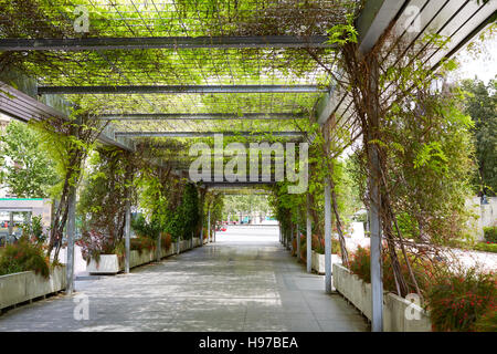 Sevilla-Sevilla-Paseo de Cristina Andalusien Spanien Stockfoto