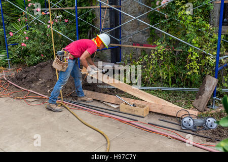 Bauarbeiter, Rutherford, Napa Valley, Napa County, Kalifornien Stockfoto