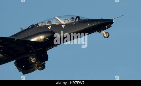 Königliche Marine Hawk von 736 Squadron Stockfoto