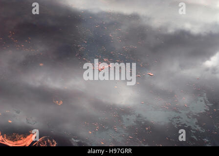 Luftaufnahme von Flamingos, Fütterung am Lake Natron, Tansania Stockfoto