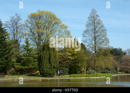 Burnby Hall Gardens Stockfoto