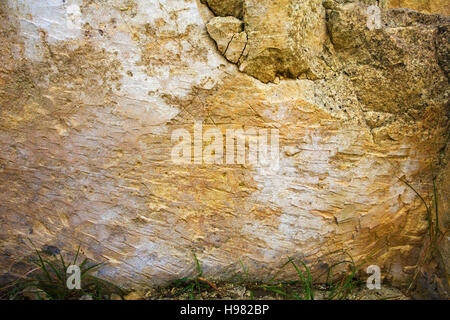 Ruinen und Details der mittelalterlichen Burg von Palazzolo Acreide. Sizilien Stockfoto