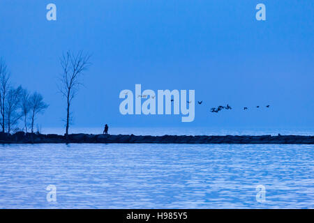 Ein paar Spaziergänge an einem Felsvorsprung Lake Huron Küstenlinie in Goderich Ontario, Kanada als eine Herde von kanadische Gänse fliegen über Kopf. Stockfoto