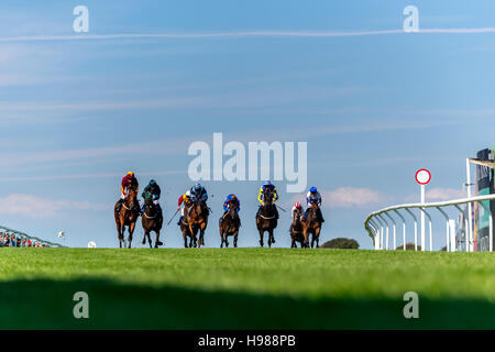 Sterne Asset, geritten von Jim Crowley, heute Nachmittag die 4.20 in Brighton zu gewinnen. Stockfoto