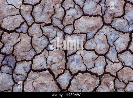 Gebrochene Schlamm oder Erde bei Trockenheit in Gujarat, Indien Stockfoto