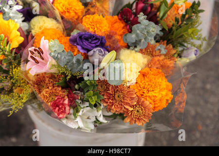 Bunte Blumen auf einem Bauernhof aufgewachsen und auf einem Bauernmarkt angezeigt Stockfoto