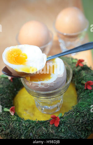 Gekochtes Ei in einen Eierbecher Stockfoto