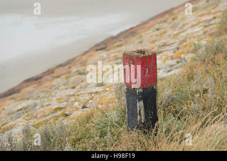 Rot aus Holz Poller auf dem Deich von Terschelling in den Niederlanden Stockfoto