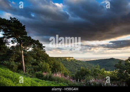 Roulston Narbe und Hood Hügel in der Nähe von Sutton Bank, North York Moors National Park Stockfoto