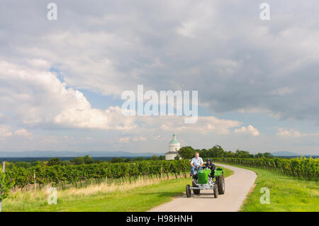 Angern ein der März: Kapelle Rochuskapelle und Weinberge in Mannersdorf, Weinviertel, Niederösterreich, Niederösterreich, Österreich Stockfoto