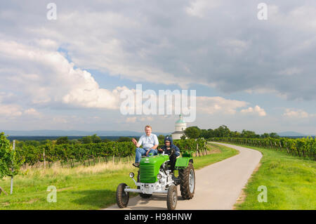 Angern ein der März: Kapelle Rochuskapelle und Weinberge in Mannersdorf, Weinviertel, Niederösterreich, Niederösterreich, Österreich Stockfoto