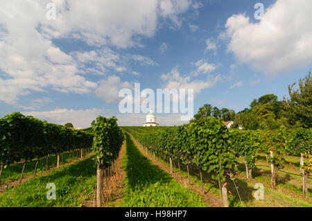 Angern ein der März: Kapelle Rochuskapelle und Weinberge in Mannersdorf, Weinviertel, Niederösterreich, Niederösterreich, Österreich Stockfoto