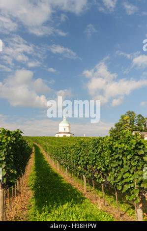Angern ein der März: Kapelle Rochuskapelle und Weinberge in Mannersdorf, Weinviertel, Niederösterreich, Niederösterreich, Österreich Stockfoto