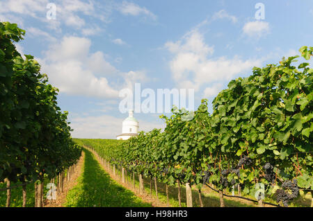 Angern ein der März: Kapelle Rochuskapelle und Weinberge in Mannersdorf, Weinviertel, Niederösterreich, Niederösterreich, Österreich Stockfoto