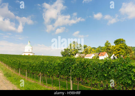 Angern ein der März: Kapelle Rochuskapelle und Weinberge in Mannersdorf, Weinviertel, Niederösterreich, Niederösterreich, Österreich Stockfoto