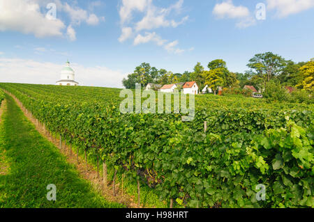 Angern ein der März: Kapelle Rochuskapelle und Weinberge in Mannersdorf, Weinviertel, Niederösterreich, Niederösterreich, Österreich Stockfoto