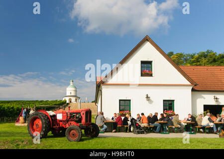 Angern ein der März: Kapelle Rochuskapelle, Heuriger (Weinstube), Gäste und Weinbergen in Mannersdorf, Weinviertel, Niederösterreich, untere Austr Stockfoto