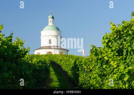 Angern ein der März: Kapelle Rochuskapelle und Weinberge in Mannersdorf, Weinviertel, Niederösterreich, Niederösterreich, Österreich Stockfoto