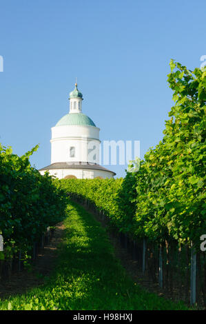 Angern ein der März: Kapelle Rochuskapelle und Weinberge in Mannersdorf, Weinviertel, Niederösterreich, Niederösterreich, Österreich Stockfoto