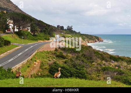 Südafrika, Fahren auf der Straße: Ansicht der südafrikanischen grüne Landschaft und Atlantik von der N2, der berühmten Garden Route gesehen Stockfoto