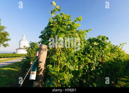 Angern ein der März: Kapelle Rochuskapelle und Weinberge in Mannersdorf, Weinviertel, Niederösterreich, Niederösterreich, Österreich Stockfoto